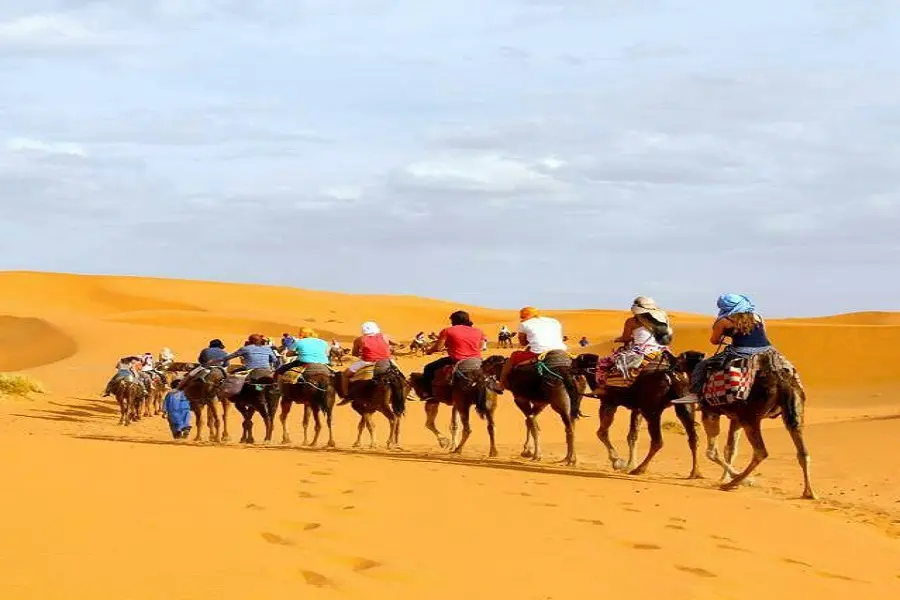 Sunset Camel Ride in Merzouga Desert